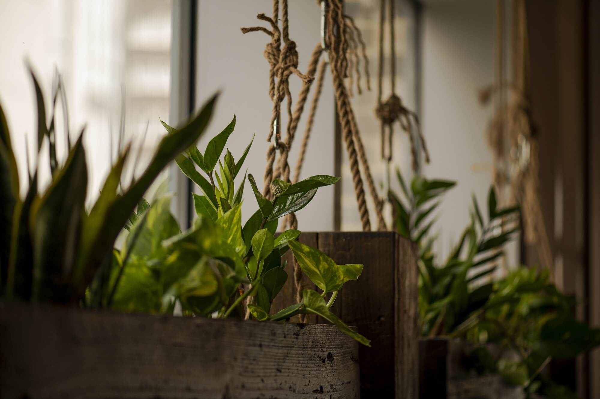 Tempo 301 - Pilates Studio